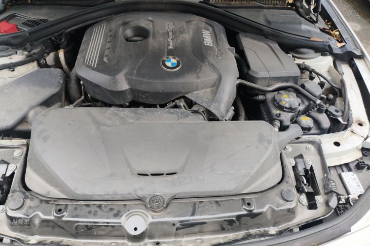 BMW 3 Series 2017 car image #22