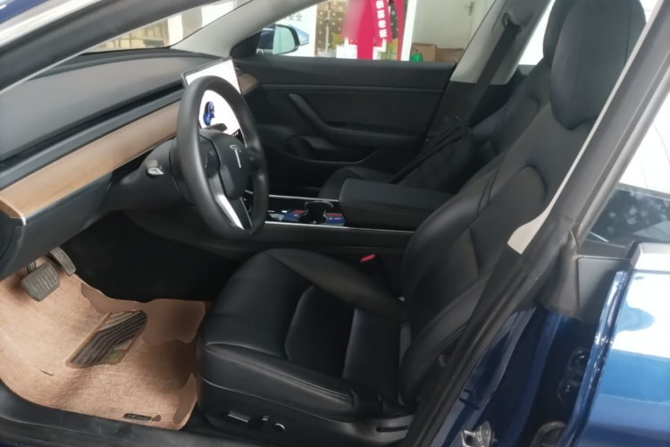 Tesla Model 3 2020 car image #15