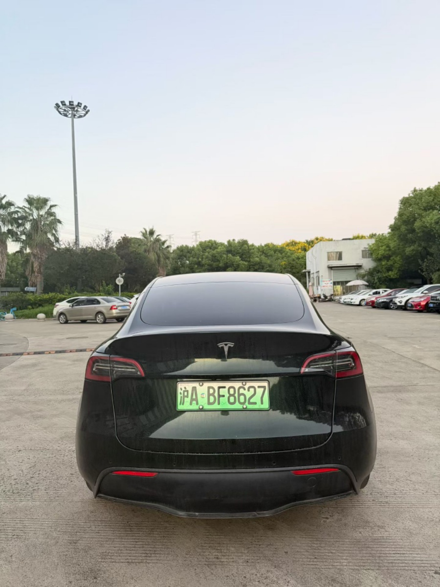 Tesla Model Y 2022 #6 Tesla Model Y 2022 car image #6