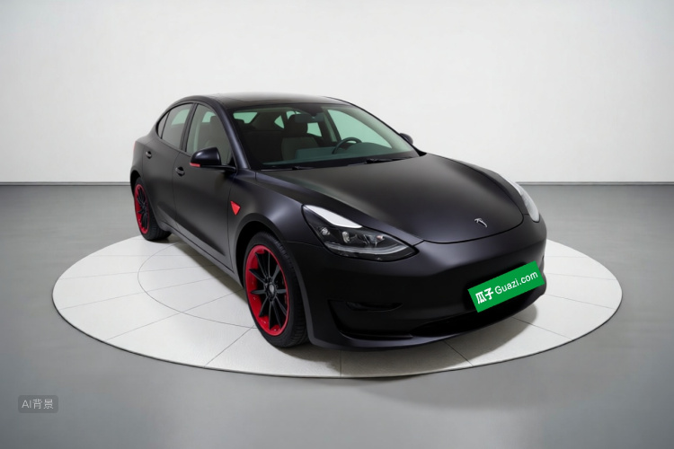 Tesla Model 3 2021 car image #4
