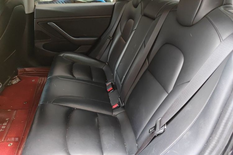 Tesla Model 3 2020 #19 Tesla Model 3 2020 car image #19