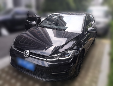 Volkswagen Golf 2019 Volkswagen Golf 2019 car image