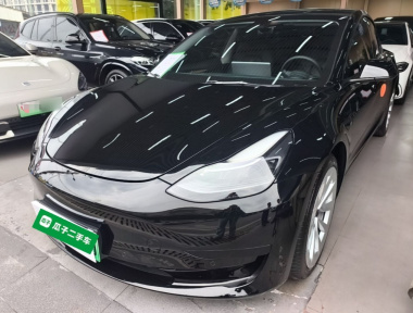 Tesla Model 3 2021 Tesla Model 3 2021 изображение автомобиля