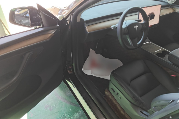 Tesla Model Y 2022 #16 Tesla Model Y 2022 car image #16