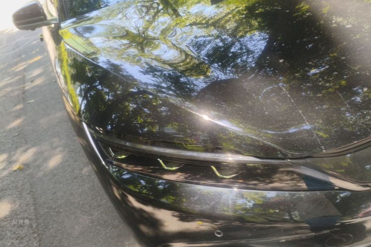 BYD Han 2023 car image #8