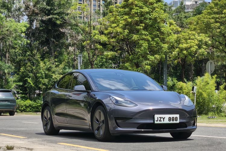 Tesla Model 3 2021 car image #4