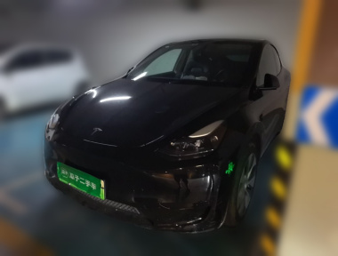 Tesla Model Y 2023 Tesla Model Y 2023 car image