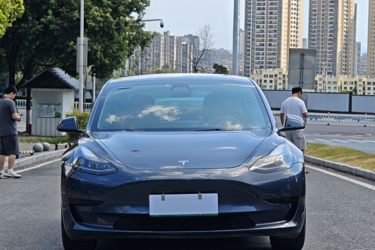 Tesla Model 3 2021 #3 Tesla Model 3 2021 car image #3