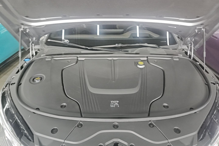 BYD Han 2022 car image #22