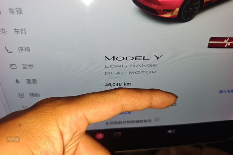 Tesla Model Y 2021 car image #14