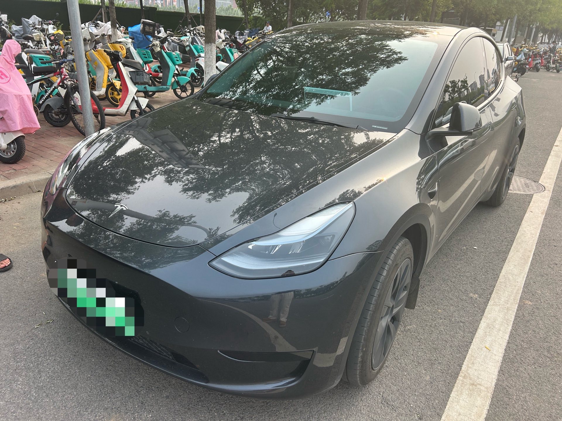 Tesla Model Y 2024 Tesla Model Y 2024 car image