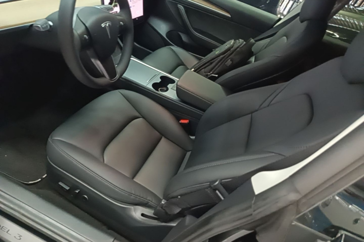 Tesla Model 3 2021 car image #19