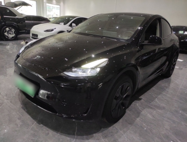 Tesla Model Y 2023 car image 
