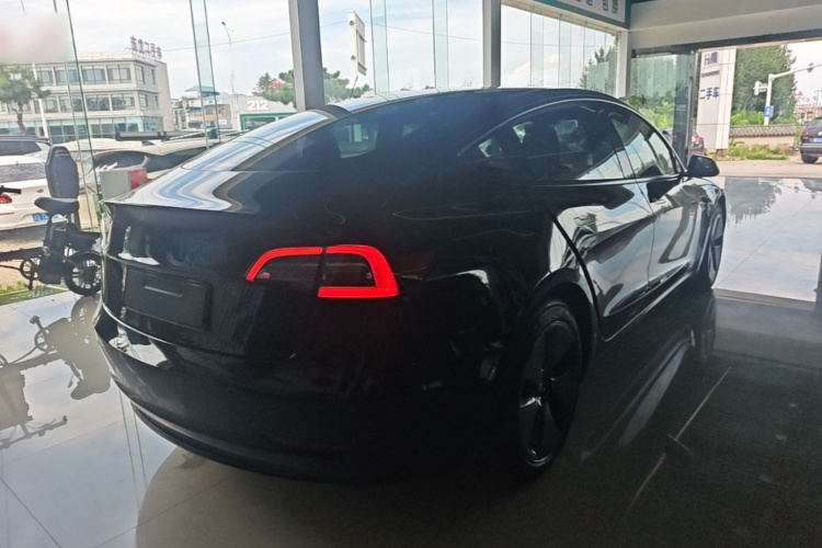 Tesla Model 3 2021 #7 Tesla Model 3 2021 car image #7