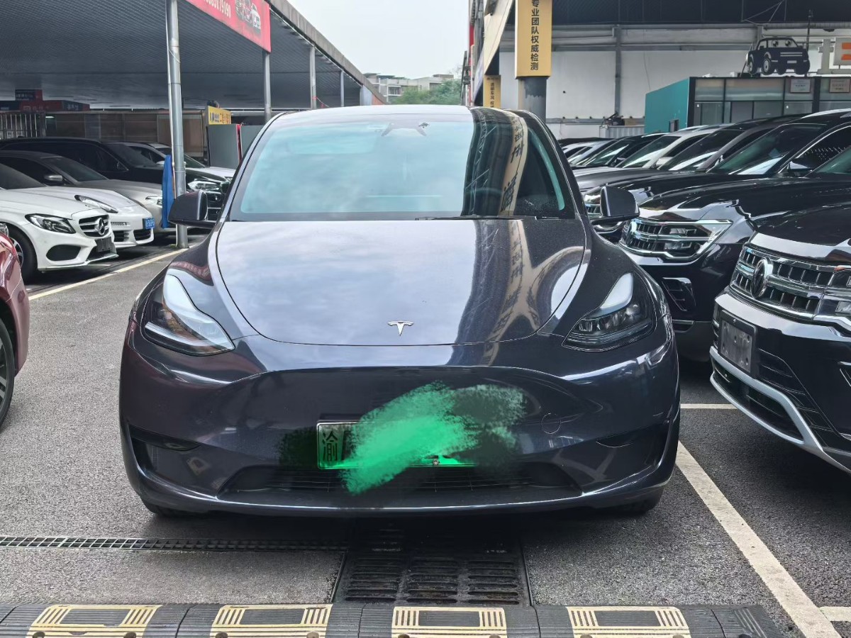 Tesla Model Y 2024 car image 