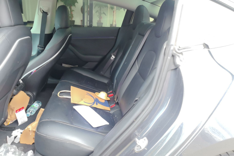Tesla Model 3 2022 car image #19