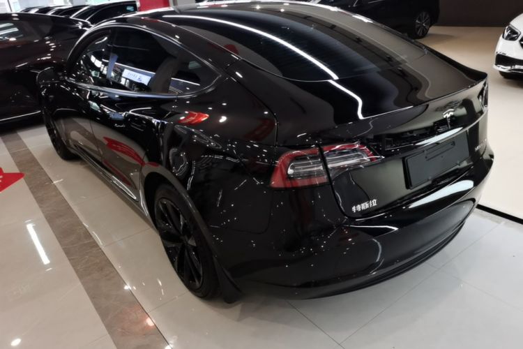 Tesla Model 3 2021 #5 Tesla Model 3 2021 car image #5
