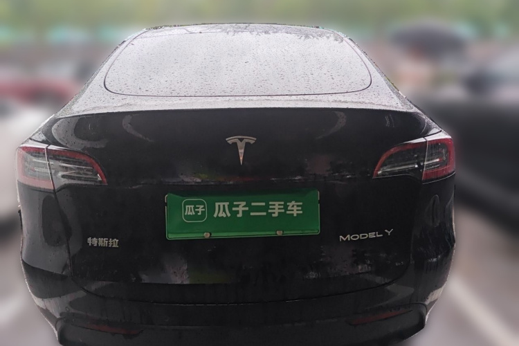 Tesla Model Y 2024 car image #6