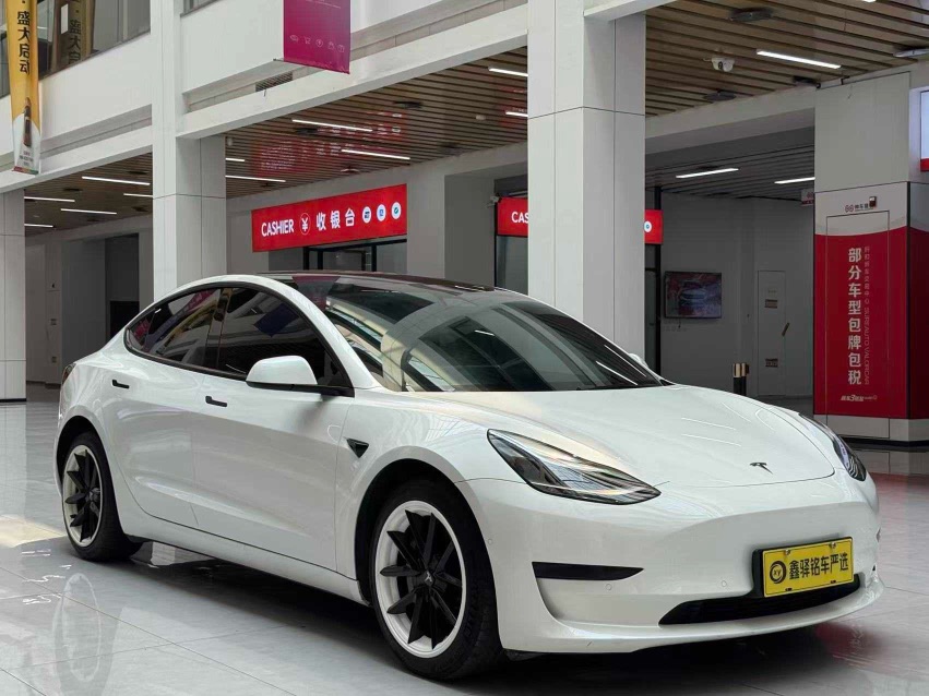 Tesla Model 3 2022 car image #3