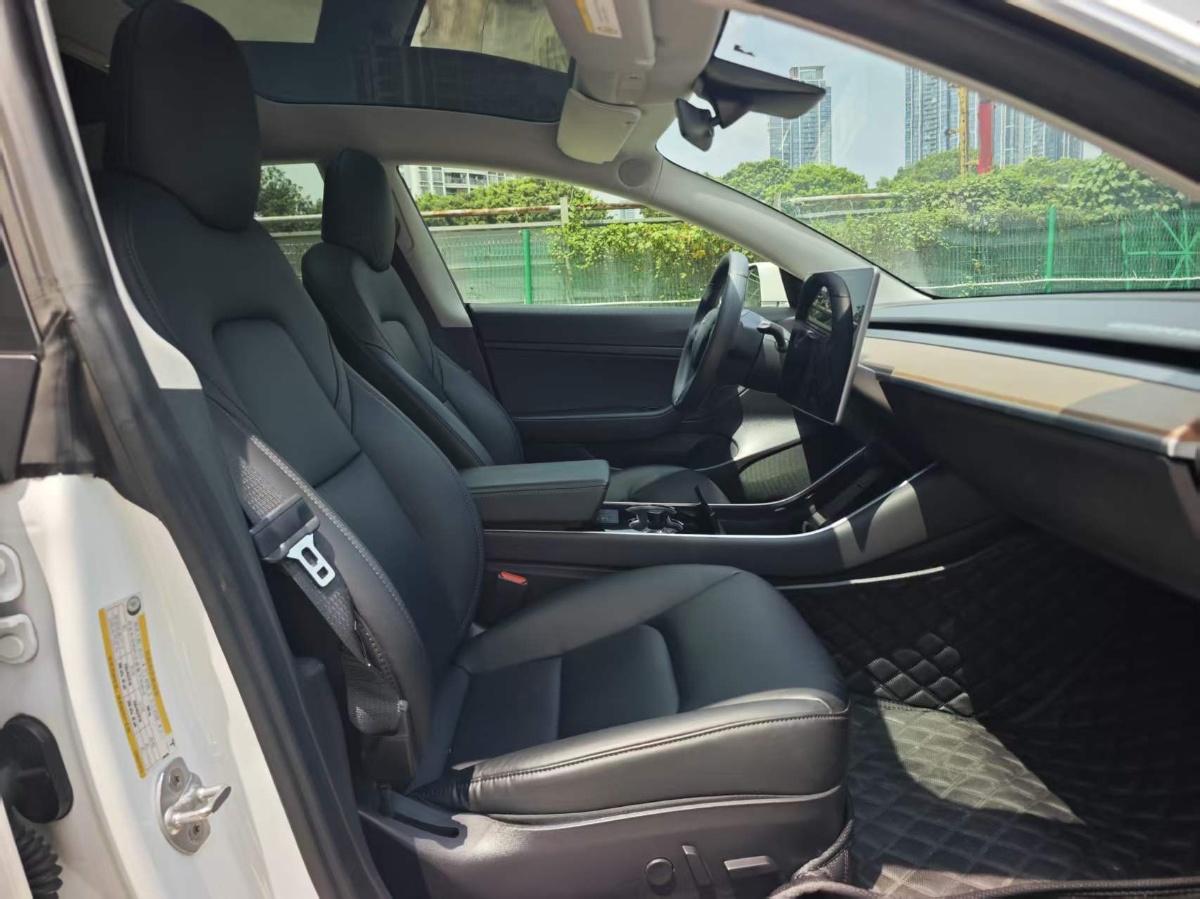 Tesla Model 3 2020 car image #5