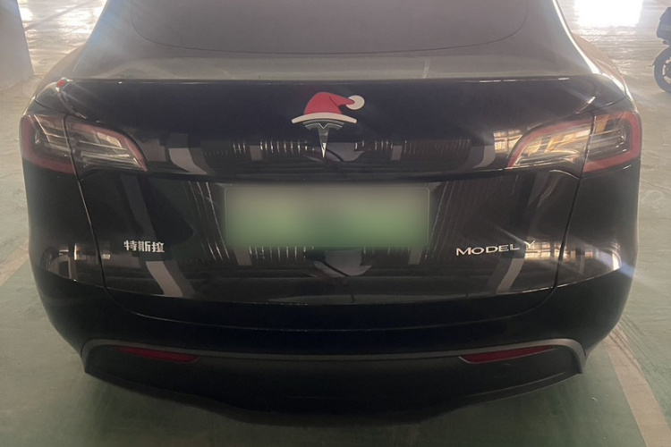 Tesla Model Y 2024 car image #7