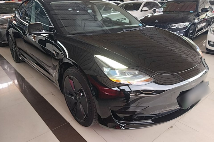 Tesla Model 3 2021 #6 Tesla Model 3 2021 car image #6