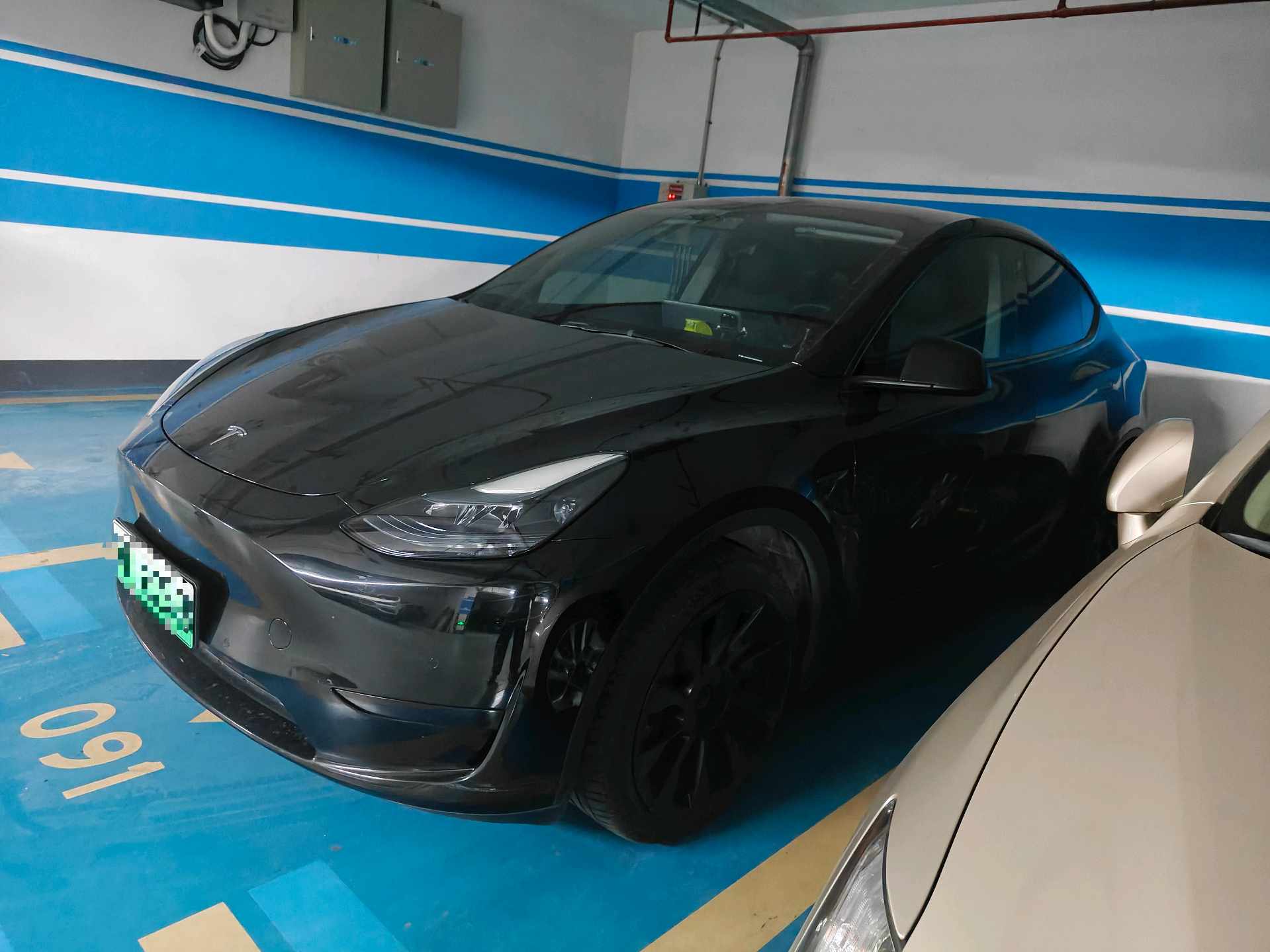 Tesla Model Y 2023 Tesla Model Y 2023 car image