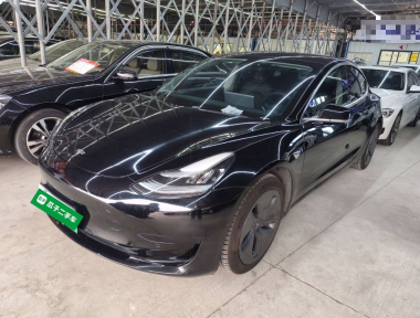 Tesla Model 3 2020 Tesla Model 3 2020 car image