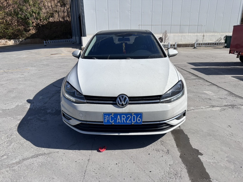 Volkswagen Golf 2018 immagine di auto #2