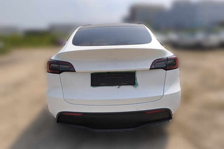 Tesla Model Y 2022 immagine di auto #6