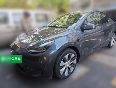 Tesla Model Y 2021 car image 