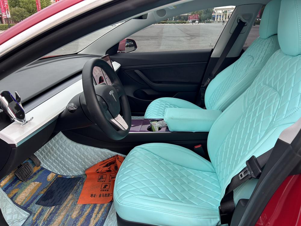 Tesla Model 3 2020 car image #10