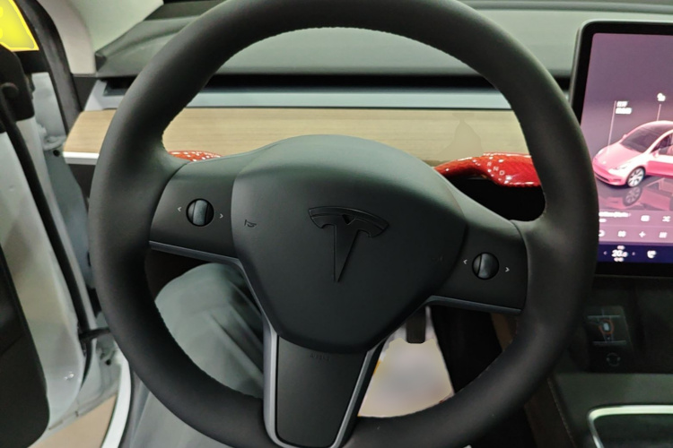 Tesla Model Y 2022 immagine di auto #11