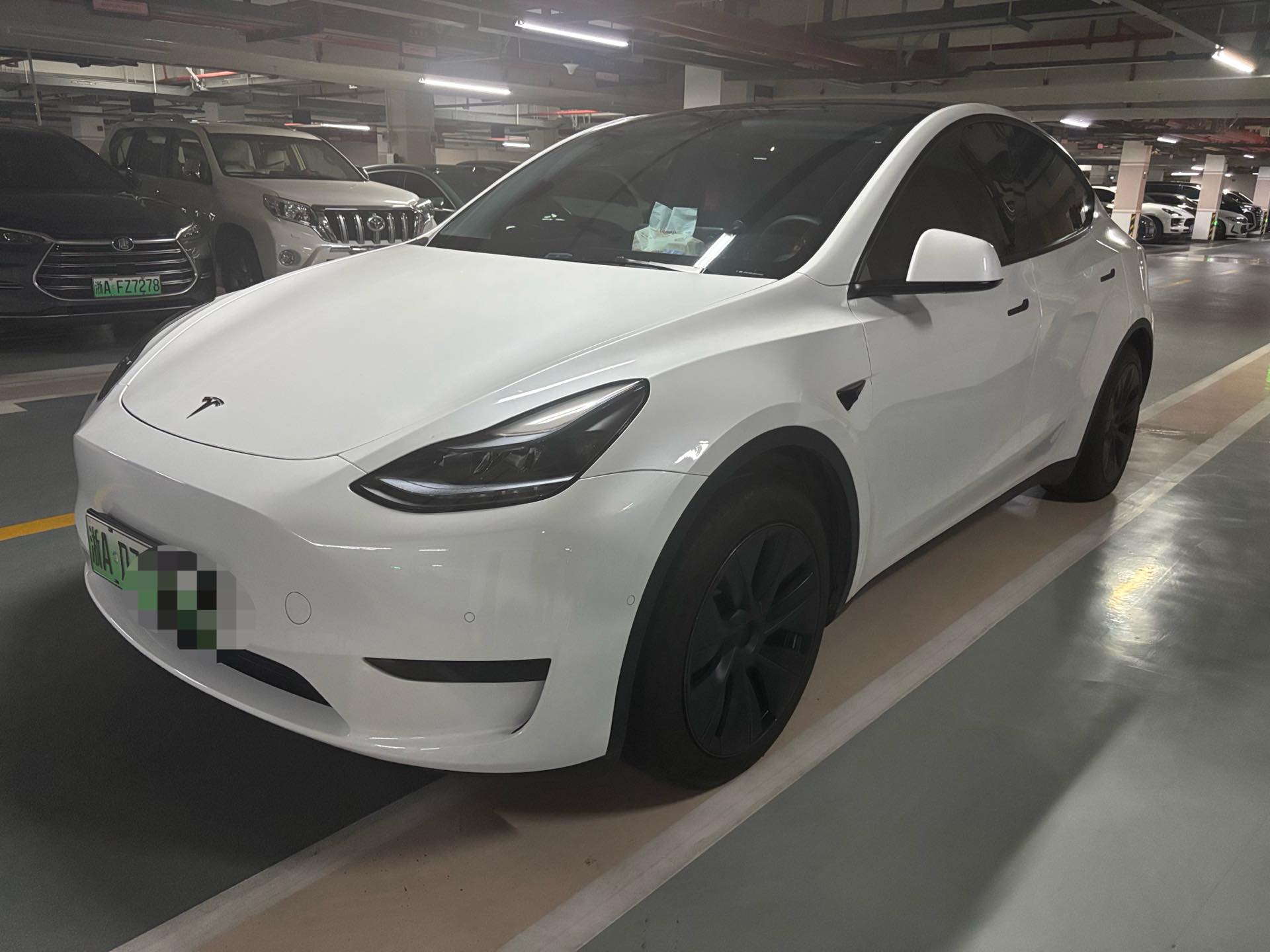 Tesla Model Y 2023 Tesla Model Y 2023 car image