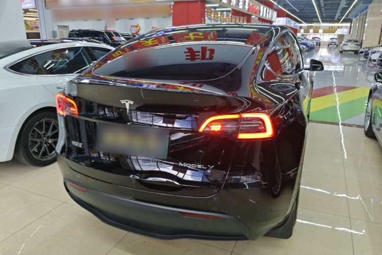 Tesla Model Y 2023 car image #7