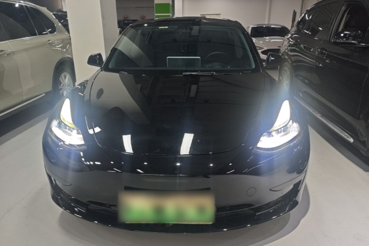 Tesla Model 3 2022 #3 Tesla Model 3 2022 car image #3