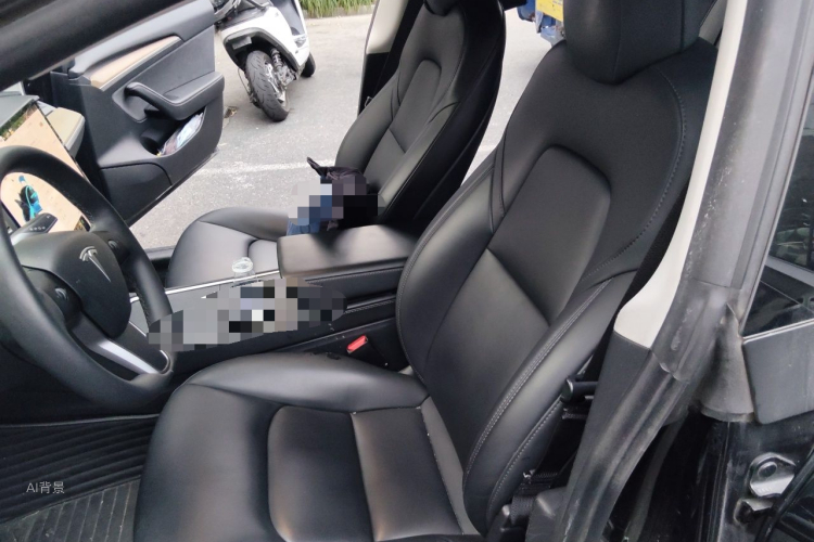 Tesla Model 3 2021 car image #17