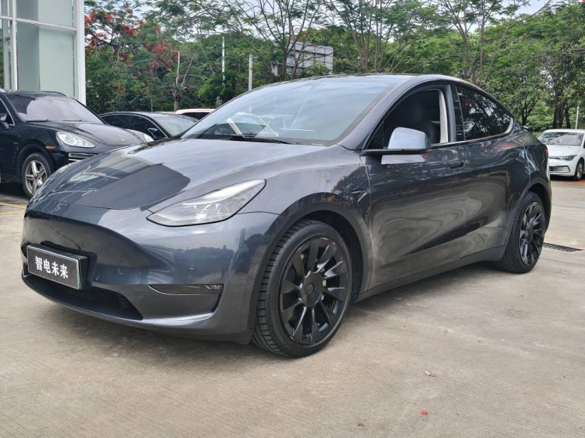 Tesla Model Y 2021 car image 