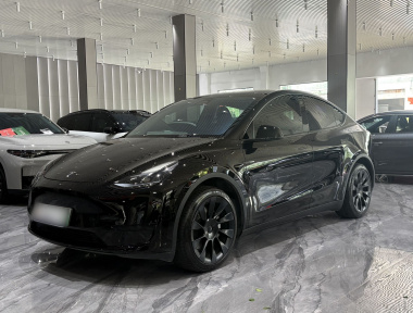 Tesla Model Y 2023 car image 