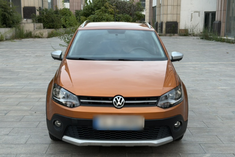 Volkswagen Polo 2016 car image #12