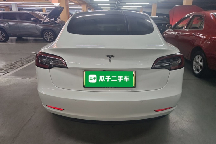 Tesla Model 3 2020 car image #6