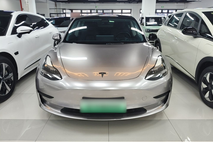 Tesla Model 3 2021 #3 Tesla Model 3 2021 car image #3