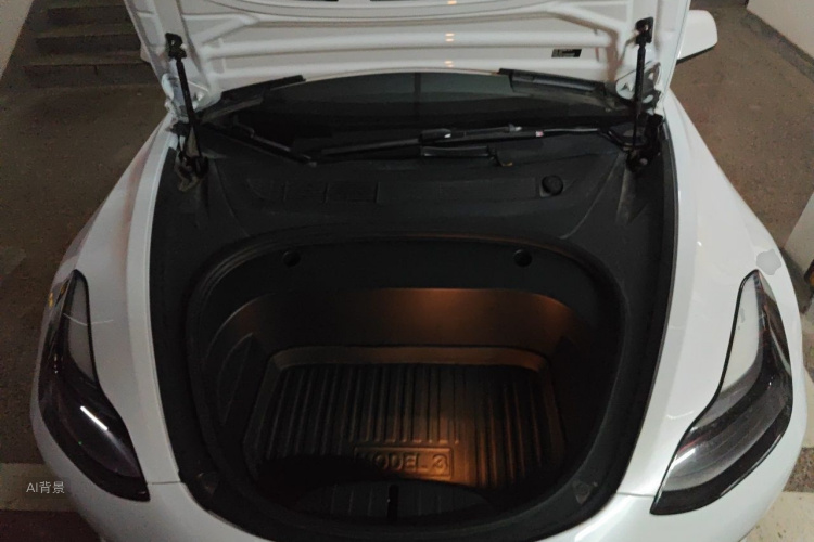 Tesla Model 3 2021 car image #22