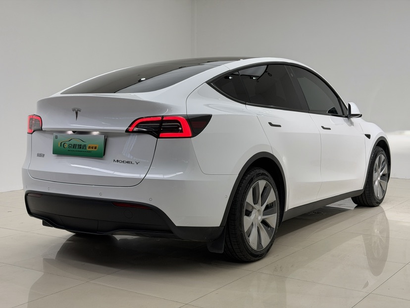 Tesla Model Y 2021 car image #7