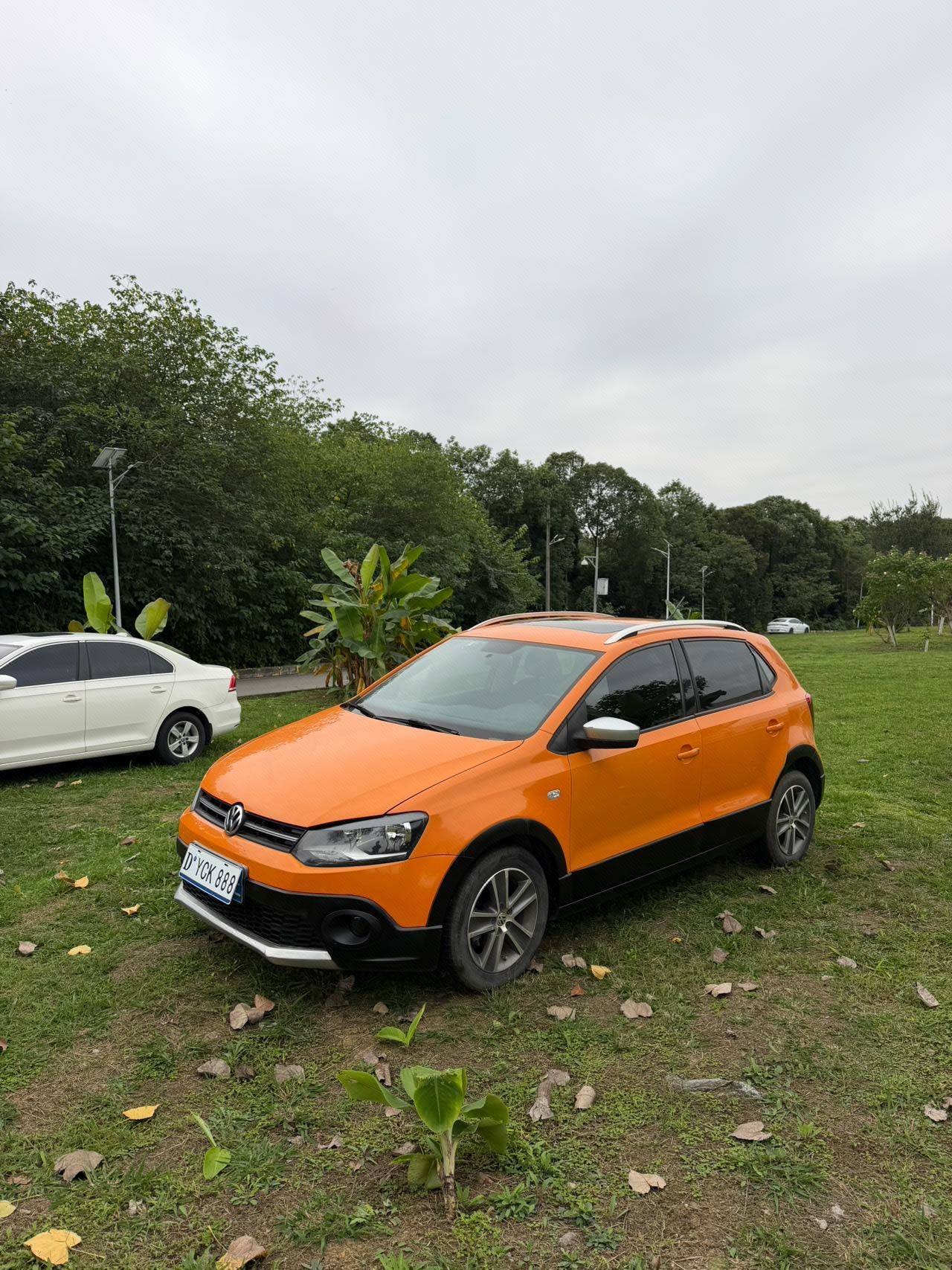 Volkswagen Polo 2012 Volkswagen Polo 2012 immagine di auto