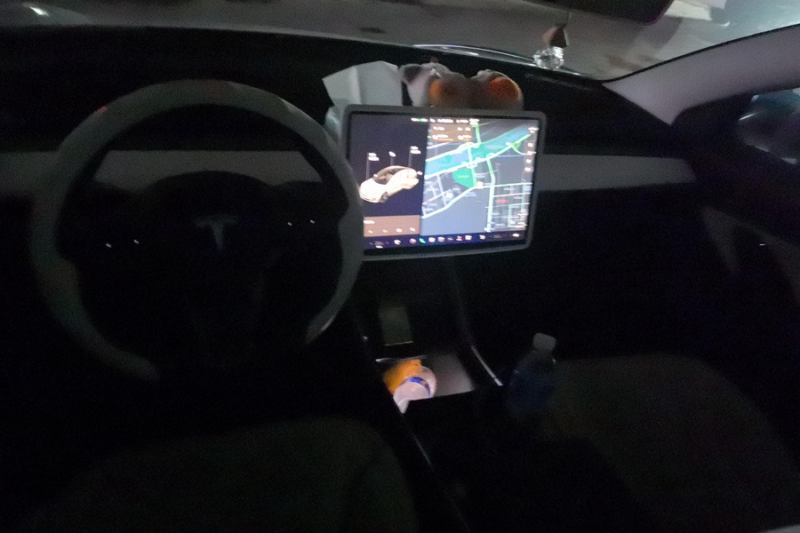 Tesla Model 3 2020 #5 Tesla Model 3 2020 car image #5