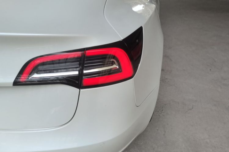 Tesla Model 3 2020 #8 Tesla Model 3 2020 car image #8