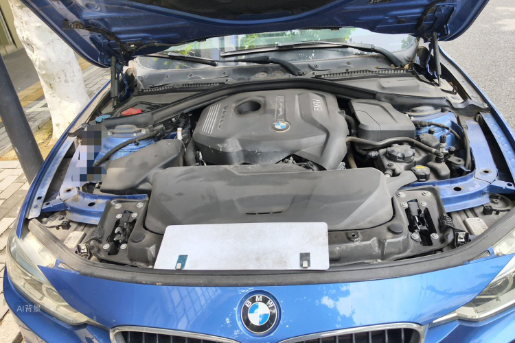 BMW 3 Series 2017 car image #22