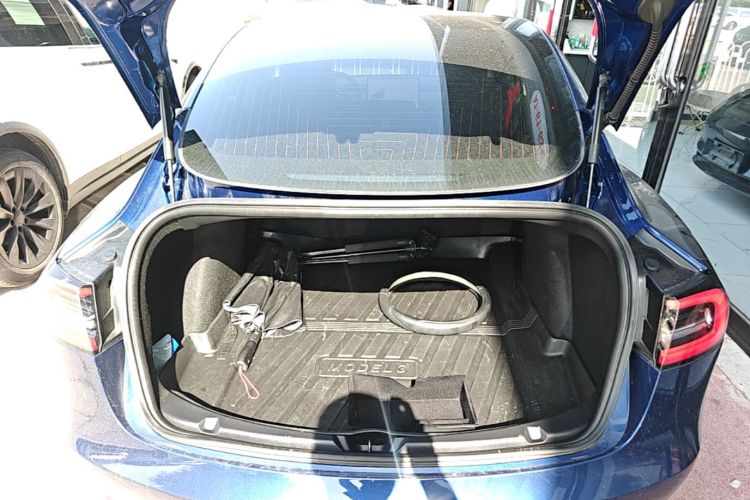 Tesla Model 3 2020 car image #19