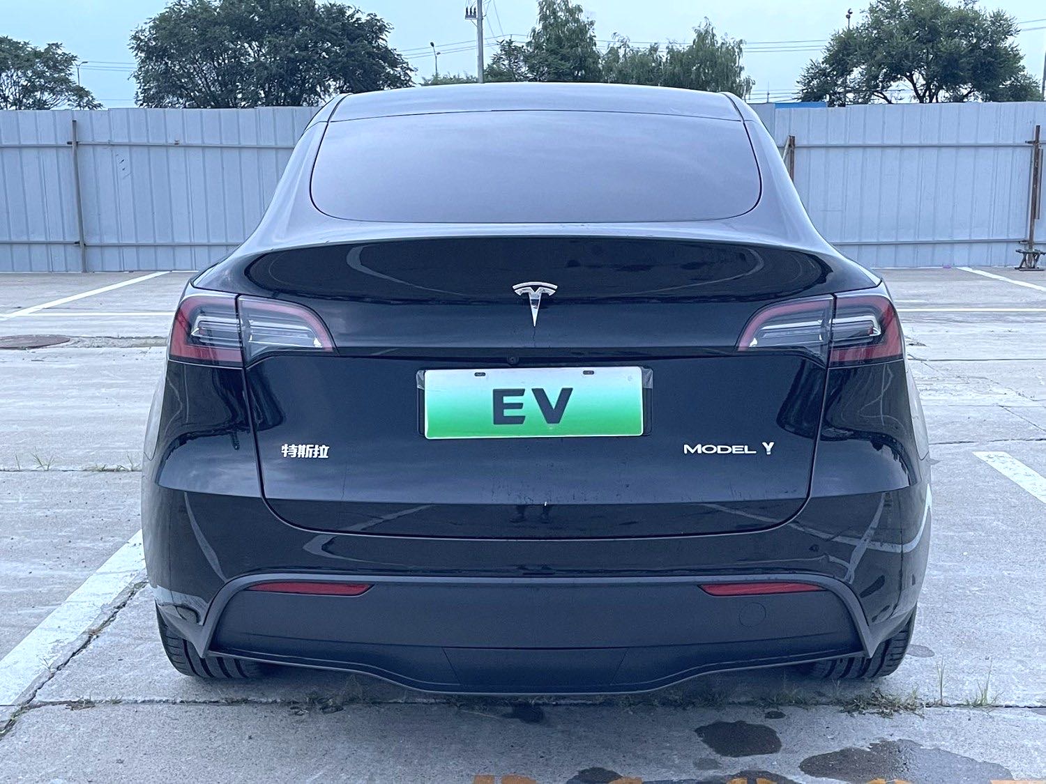 Tesla Model Y 2021 #5 Tesla Model Y 2021 car image #5